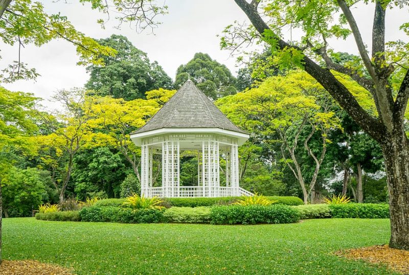 Facts you might have not known about Singapore Botanic Gardens | The ...