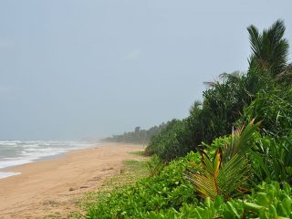 1024px-Sri_Lanka_Bentota_beach_2-320x240.jpg