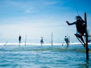 Stick fishermen of Sri Lanka.