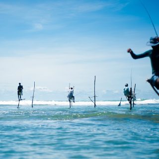 Stick fishermen of Sri Lanka.