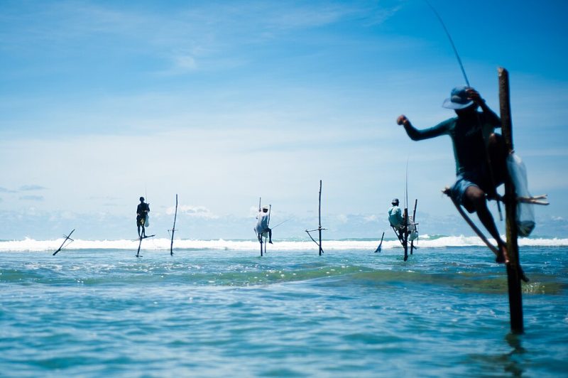 Stick fishermen of Sri Lanka.