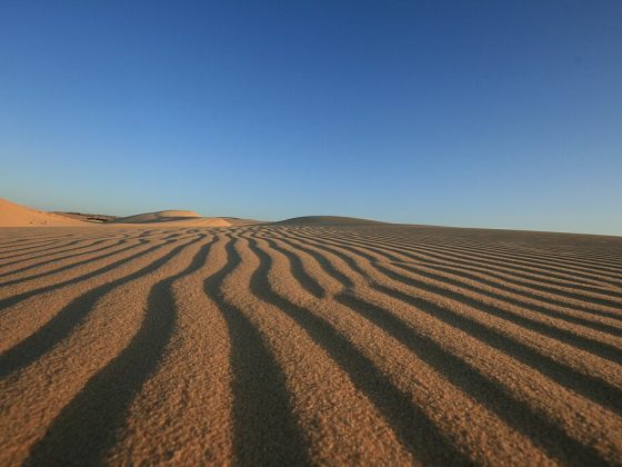 Mui_Ne_sand_dunes