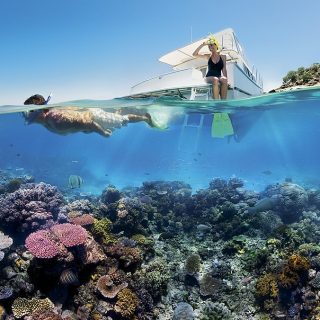 Reef_Snorkelling_on_the_Great_Barrier