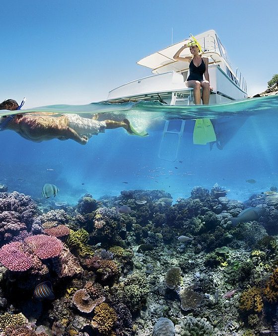 Reef_Snorkelling_on_the_Great_Barrier