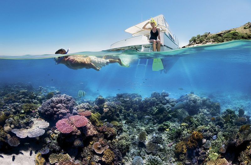 Reef_Snorkelling_on_the_Great_Barrier